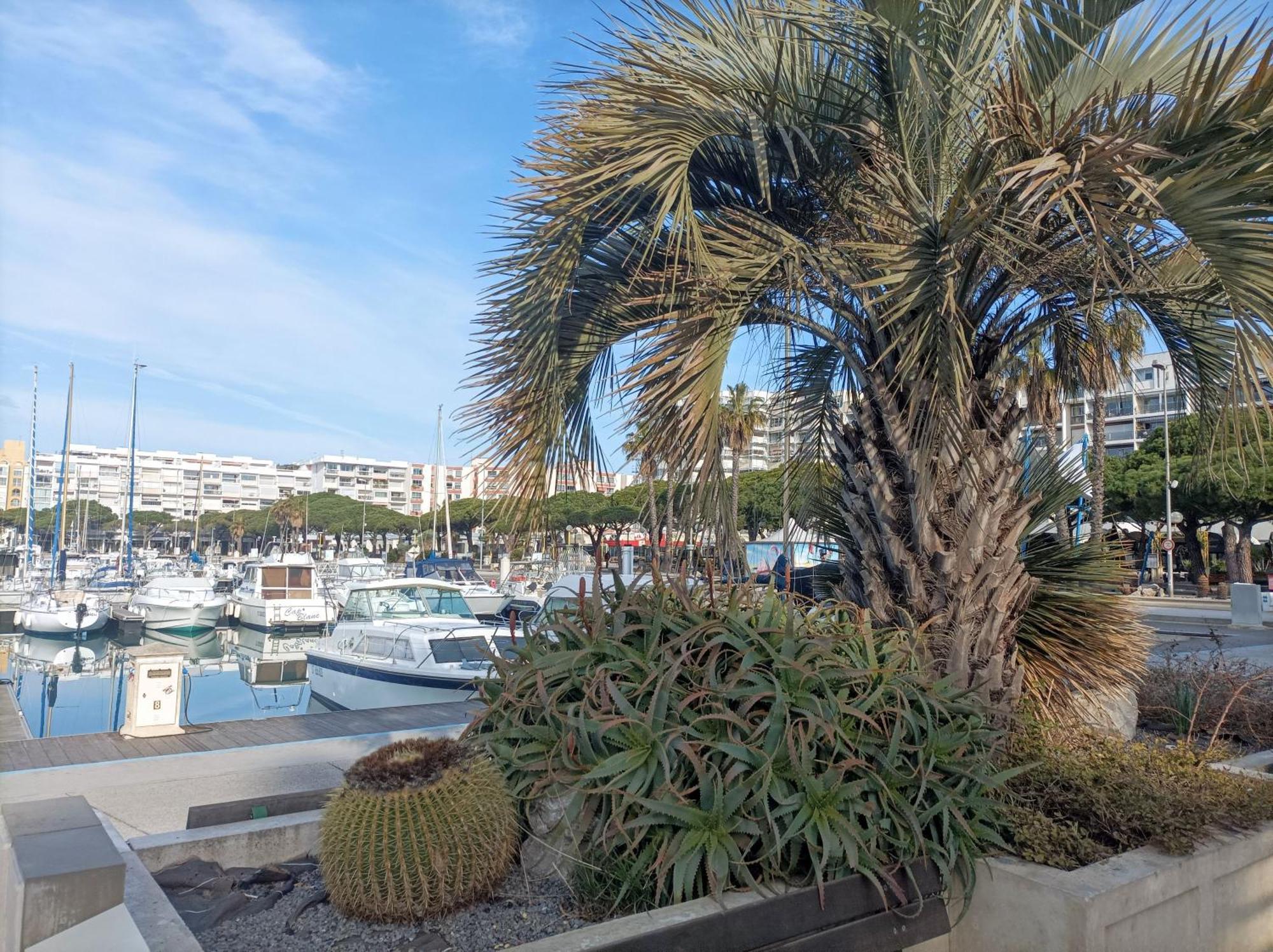 Port De Plaisance